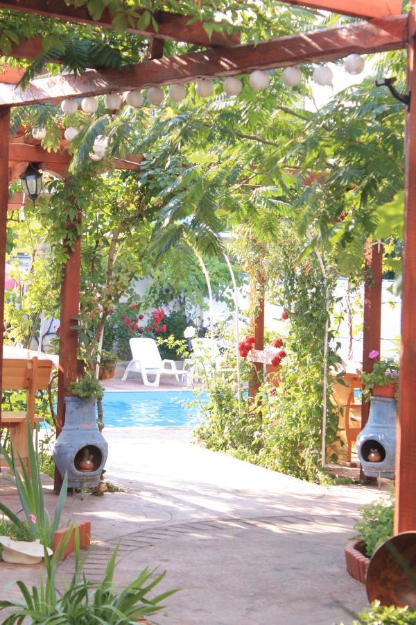 Alba Family Club Hotel Primorsko Zewnętrze zdjęcie