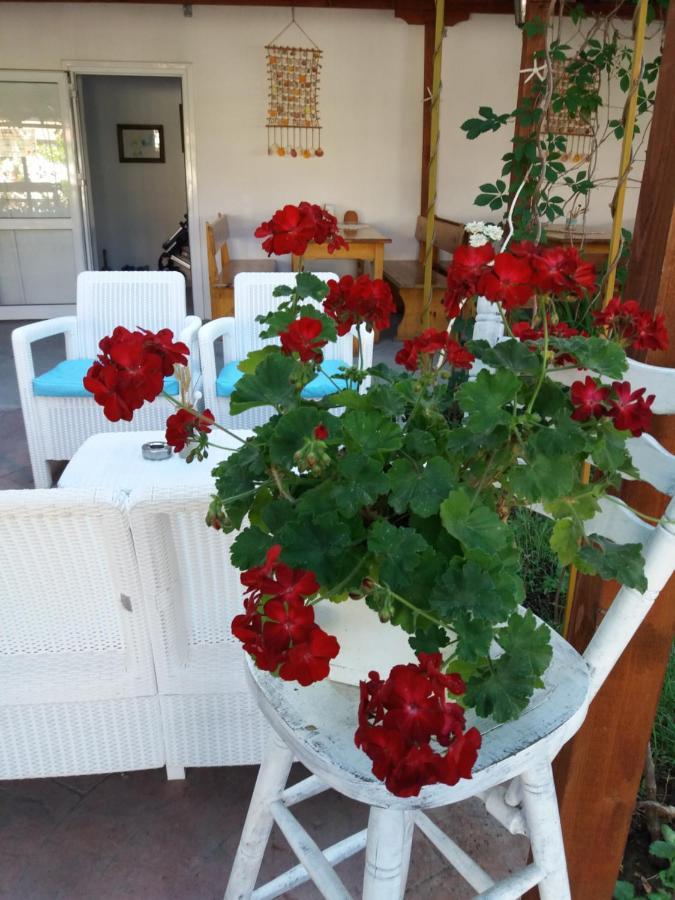 Alba Family Club Hotel Primorsko Zewnętrze zdjęcie
