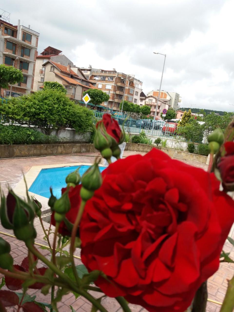 Alba Family Club Hotel Primorsko Zewnętrze zdjęcie