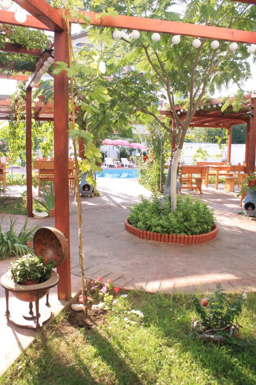 Alba Family Club Hotel Primorsko Zewnętrze zdjęcie