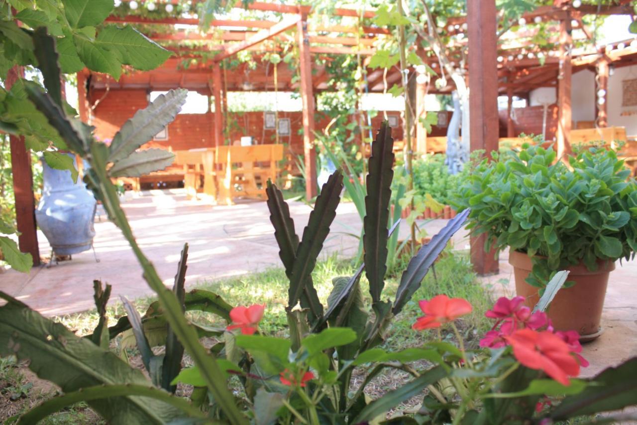 Alba Family Club Hotel Primorsko Zewnętrze zdjęcie